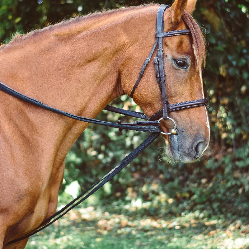 Mackey Equisential Padded Draw Reins