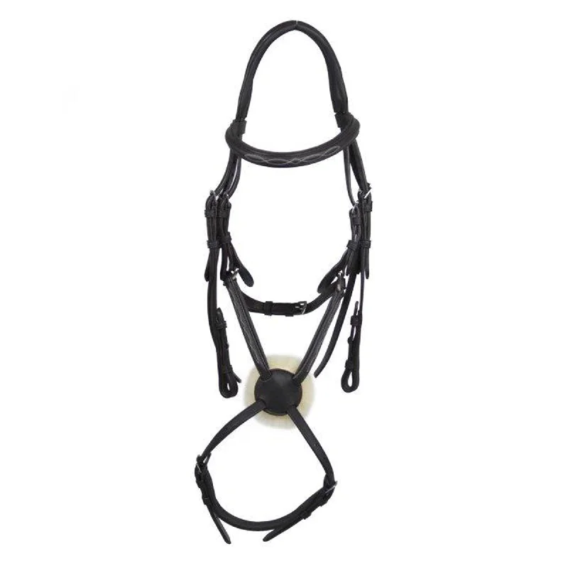 Ecorider Galway Grackle Bridle