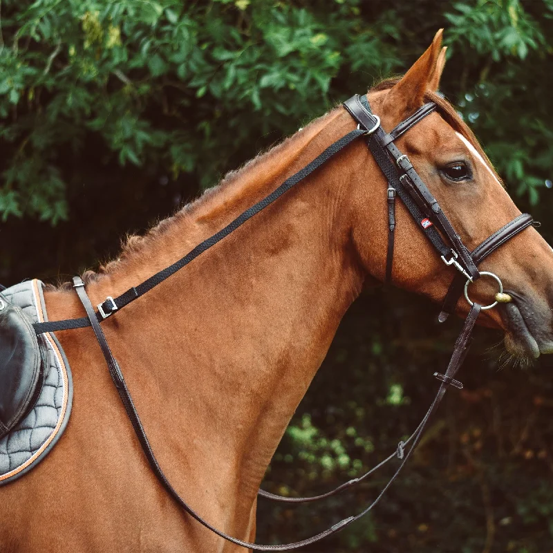 Mackey Equisential Anti-Grazing Rein