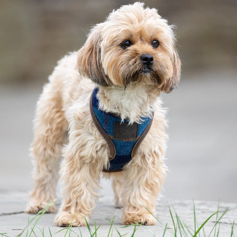 Digby & Fox Tweed Dog Harness - Navy