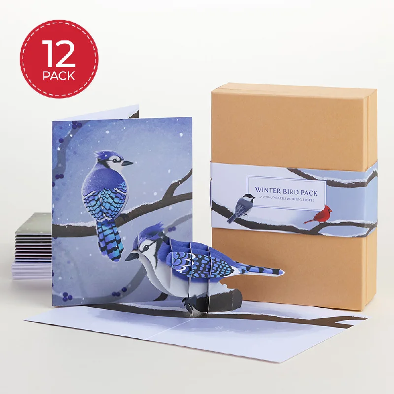 Winter Bird Box Set (Assorted 12-Pack): Paperpop® Card