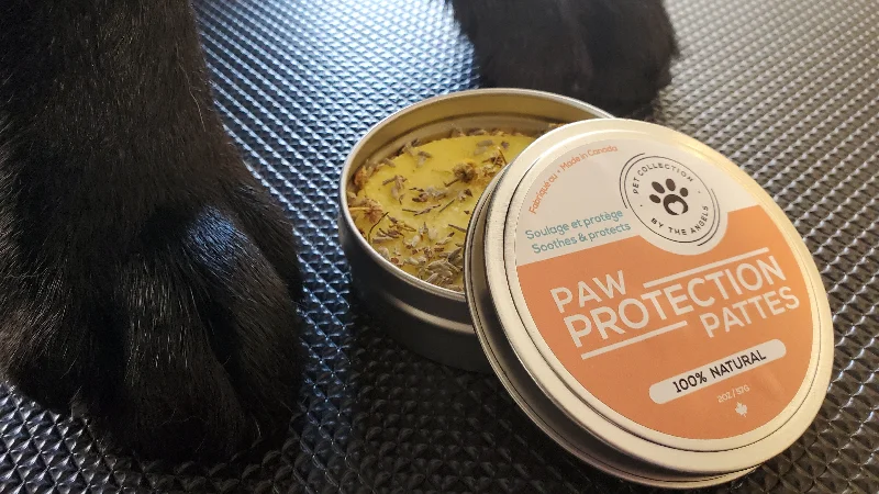 Paw Protection Pattes Balm