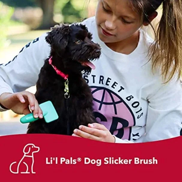 Li'l Pals Self-Cleaning Dog Slicker Brush